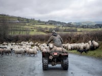 £10m asset-sales target ‘not achievable’ without county farm sell-offs