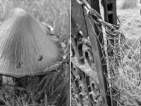 Video: Picture This - Black & White Photography!