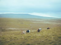 UK National Parks join UN's 'Race to Zero' initiative