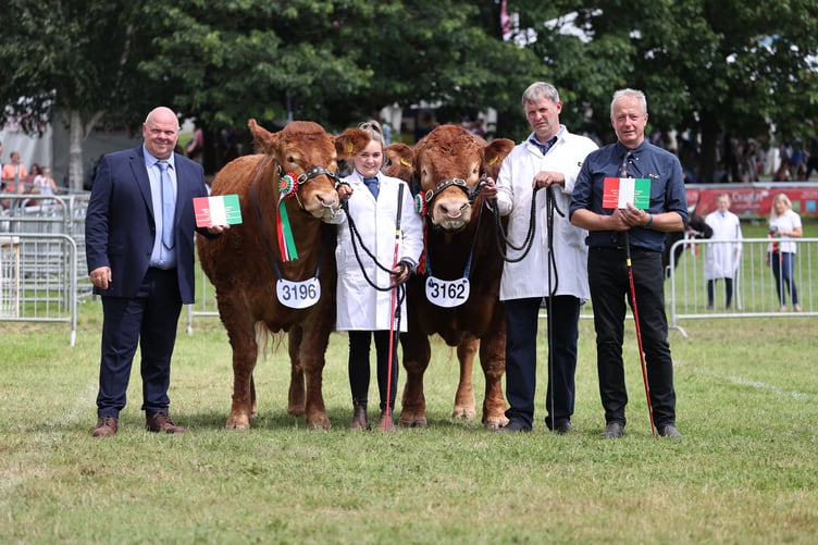 Fitzhugh Beef Pairs - Maraiscote Tangerine - G&S Harvey and Garrowby Tarzan - R&J Graham