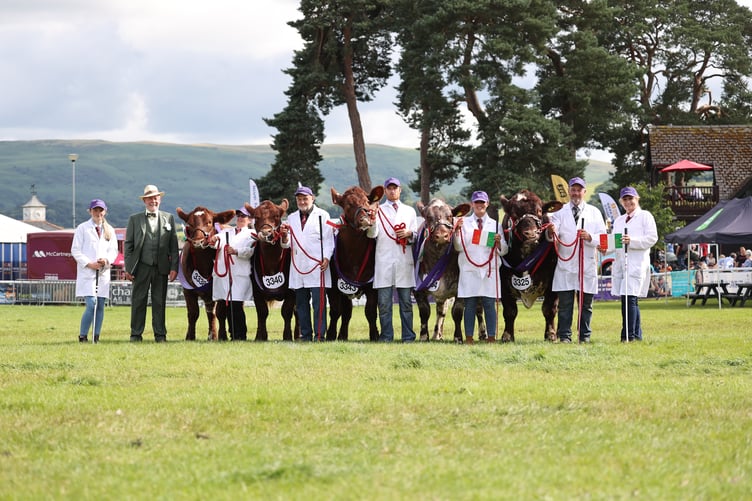 Beef Team of Five Winners- Beef Shorthorn - James Dickinson, M.R. Souter and Mary Cormac