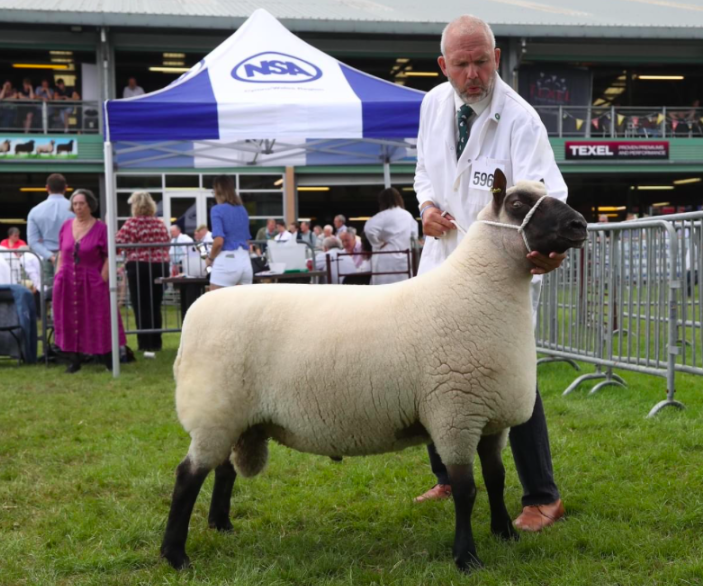 Mike Eckley, Royal Welsh