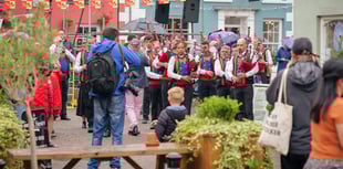 Llandovery Sheep Festival set for September return