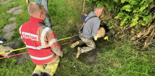 Firefighters rescue three lambs stuck in culvert