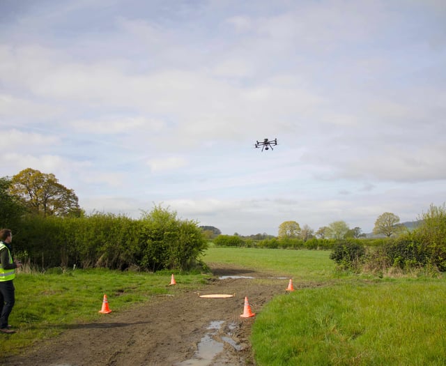 Drones transform curlew nest protection efforts in Wales