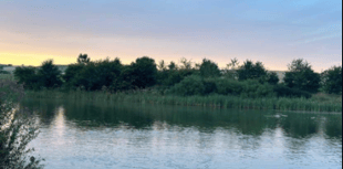 Video: Picture This - Contrasting colours