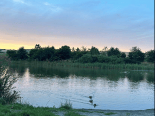 Video: Picture This - Contrasting colours