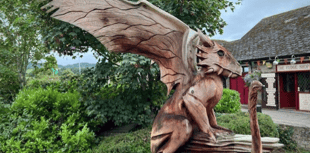 Spectacular dragon sculpture takes flight in Hay