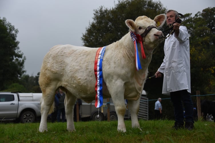 Sennybridge Show 2024