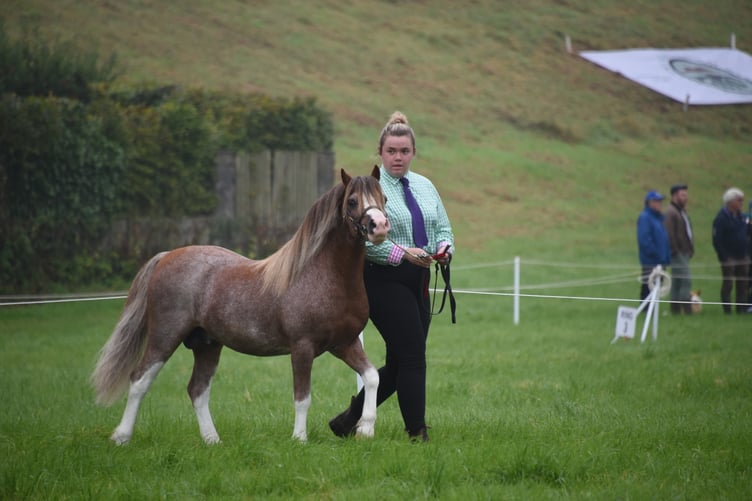 Sennybridge Show