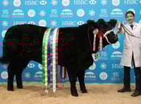 Royal Welsh Winter Fair livestock competitions schedule now available