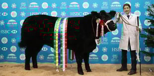 Royal Welsh Winter Fair livestock competitions schedule now available