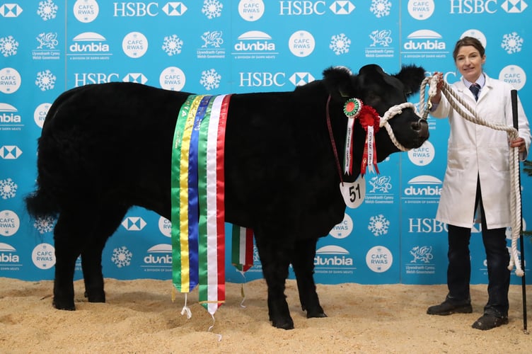 The supreme cattle champion at last year’s winter fair