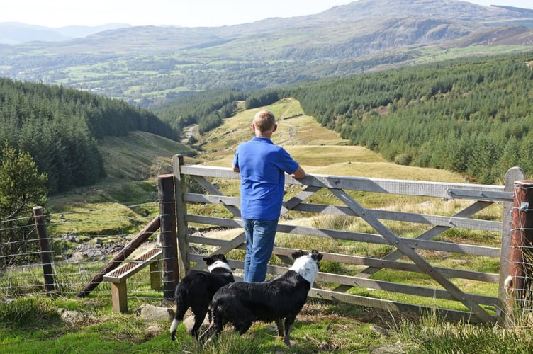 Welsh farmers are invited to participate in HCC’s annual ‘Farmer Intentions Survey’ to help assess current challenges in the red meat sector.
