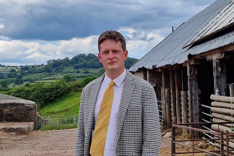 David Chadwick