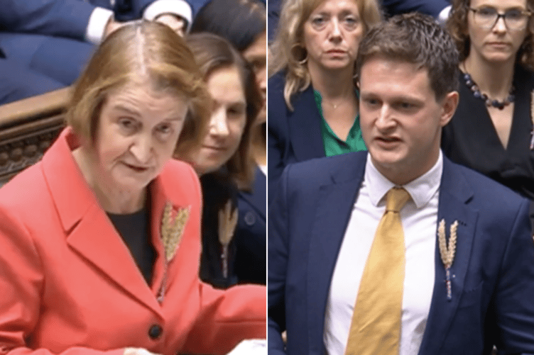 Left is Wales Office Minister, Dame Nia Griffith and right is Brecon, Radnor and Cwm Tawe MP, David Chadwick in the House of Commons today