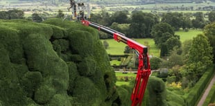 Gardener uses cherry picker to trim castle's 300-year-old hedges
