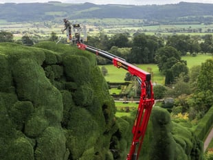 Gardener uses cherry picker to trim castle's 300-year-old hedges