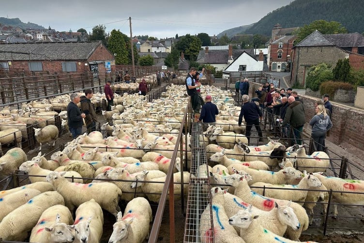 The scene at Thursday's market at Knighton