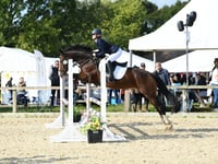 Penybont teen shines at horse show