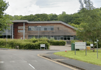 Powys farmer caused unnecessary suffering to 80 sheep, court hears