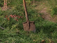 Rogue gardeners targeting Brecon, warns county council