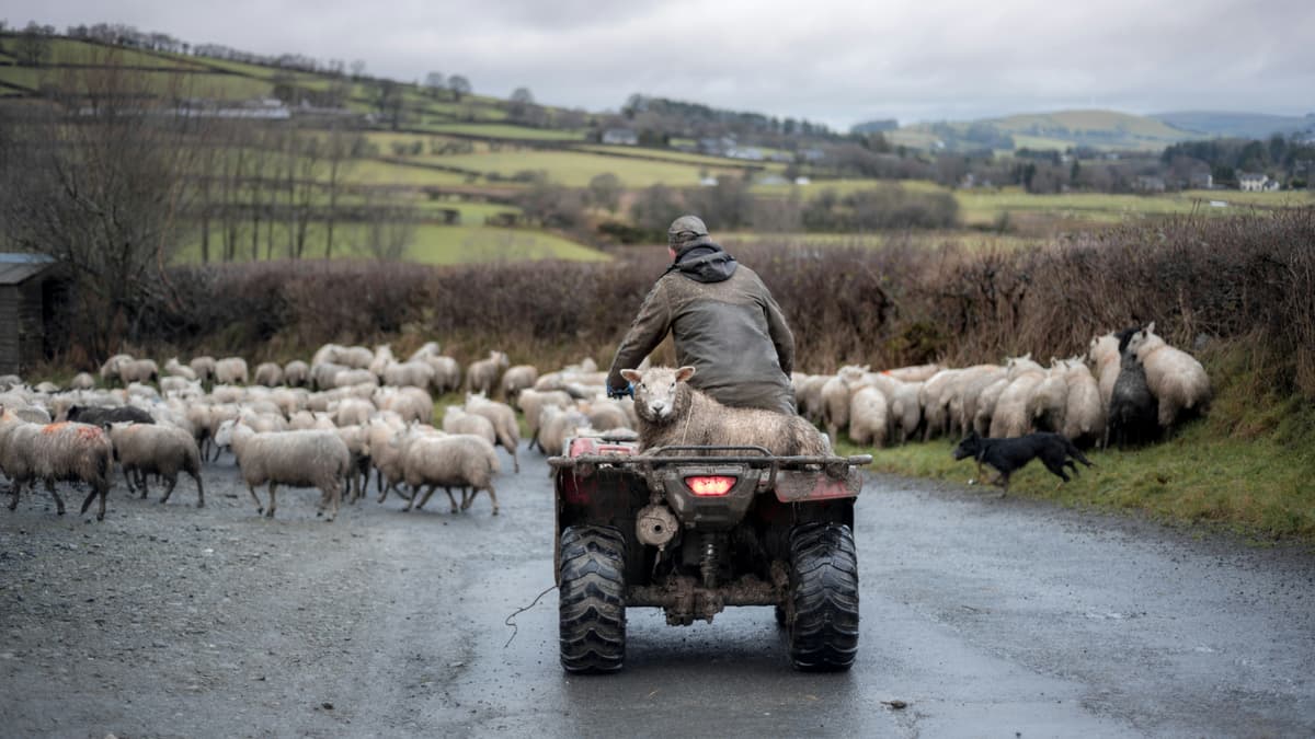Free quad bike security marking in Brecon this weekend | brecon-radnor ...