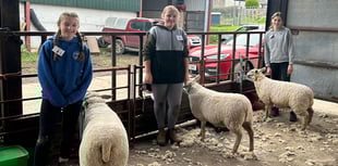 All-female teams shine at Libanus YFC