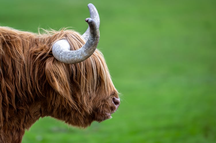 Jamie Smart's photograph is one of 12 winning entries - out of more than 100 submitted shots
