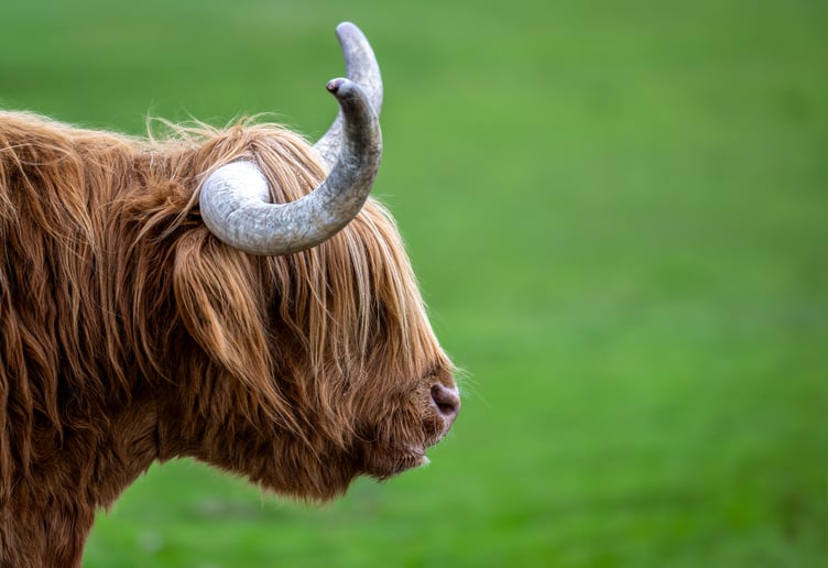 Jamie Smart's photograph is one of 12 winning entries - out of more than 100 submitted shots