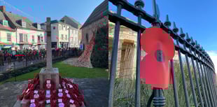 Remembrance Day plans announced