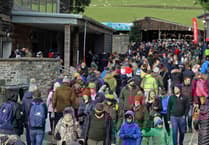 Search is on for Welsh Livestock Champion of the Year