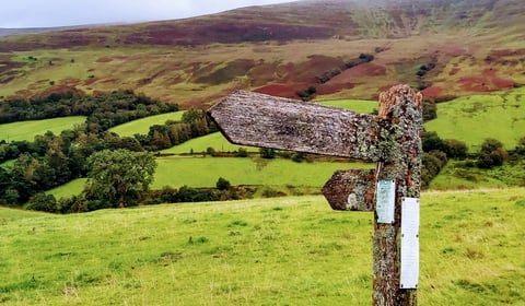 Powys residents invited to shape the county’s countryside future