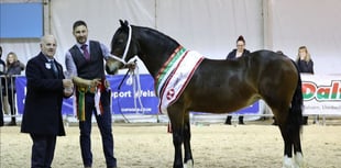Record-breaking fun at Winter Fair