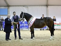 Record-breaking fun at Winter Fair