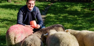 MP says 'devastating' family farm tax must be axed