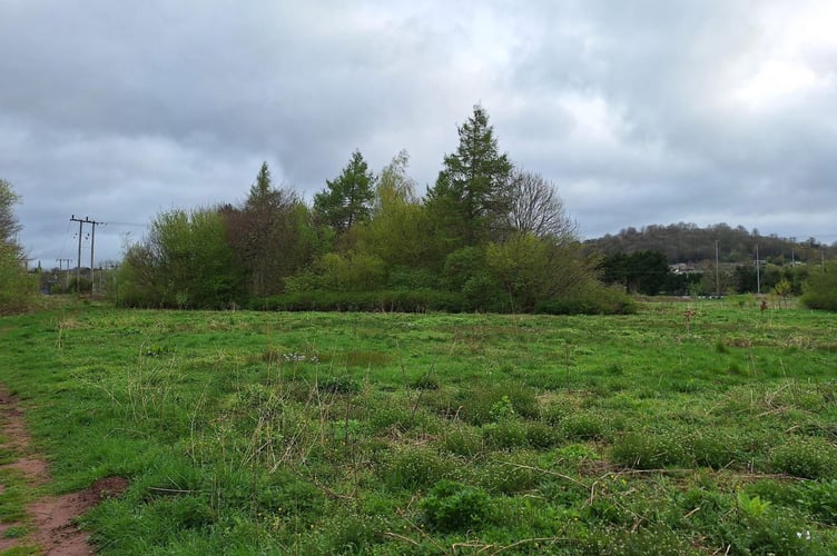 Island Fields in Brecon