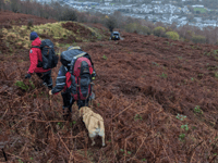 Rescue team uses phone technology to locate lost Pen y Fan walker