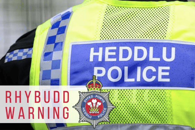 Police investigate death of five lambs after suspected dog attack