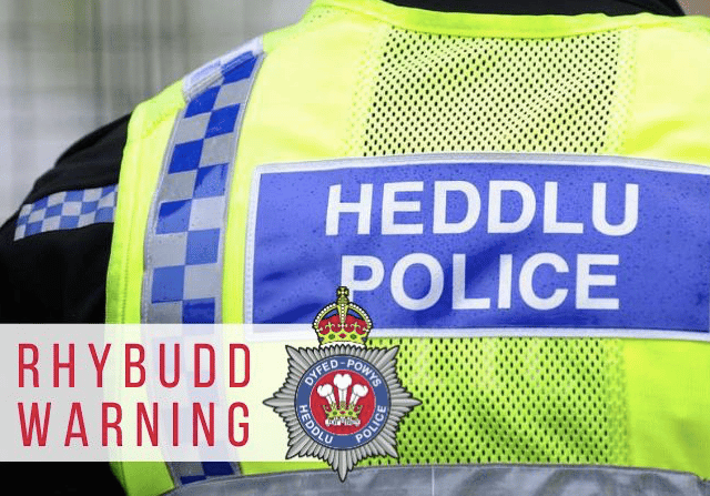 Police investigate death of five lambs after suspected dog attack