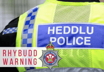 Police investigate livestock worrying on Llanbister Common as four sheep attacked