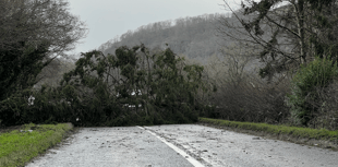 Tree down on A44 to Radnor