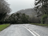 'Unprecedented' call from Dyfed Powys Police as storm impact continues