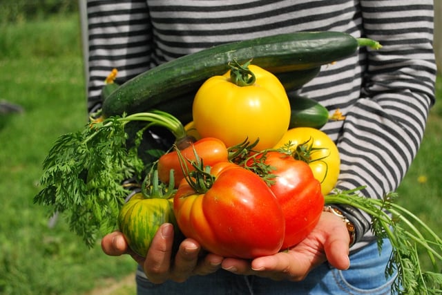 Expert advice on growing veg in Mid Wales