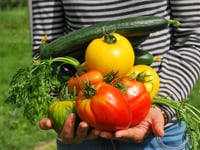 Expert advice on growing veg in Mid Wales