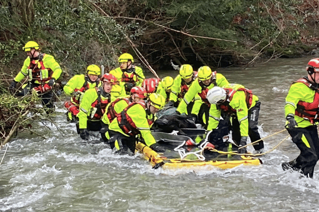 Rhayader fire crew rescue Nicky the donkey from river
