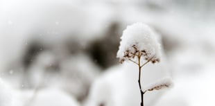 Three-day snow warning in place for Wales this weekend