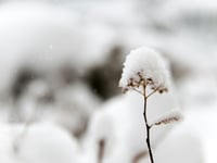 Three-day snow warning in place for Wales this weekend