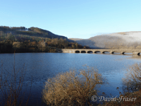 Discover the Celtic Rainforest in Rhayader