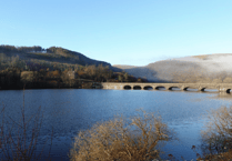 Uncover Rhayader's Celtic Rainforest Secrets